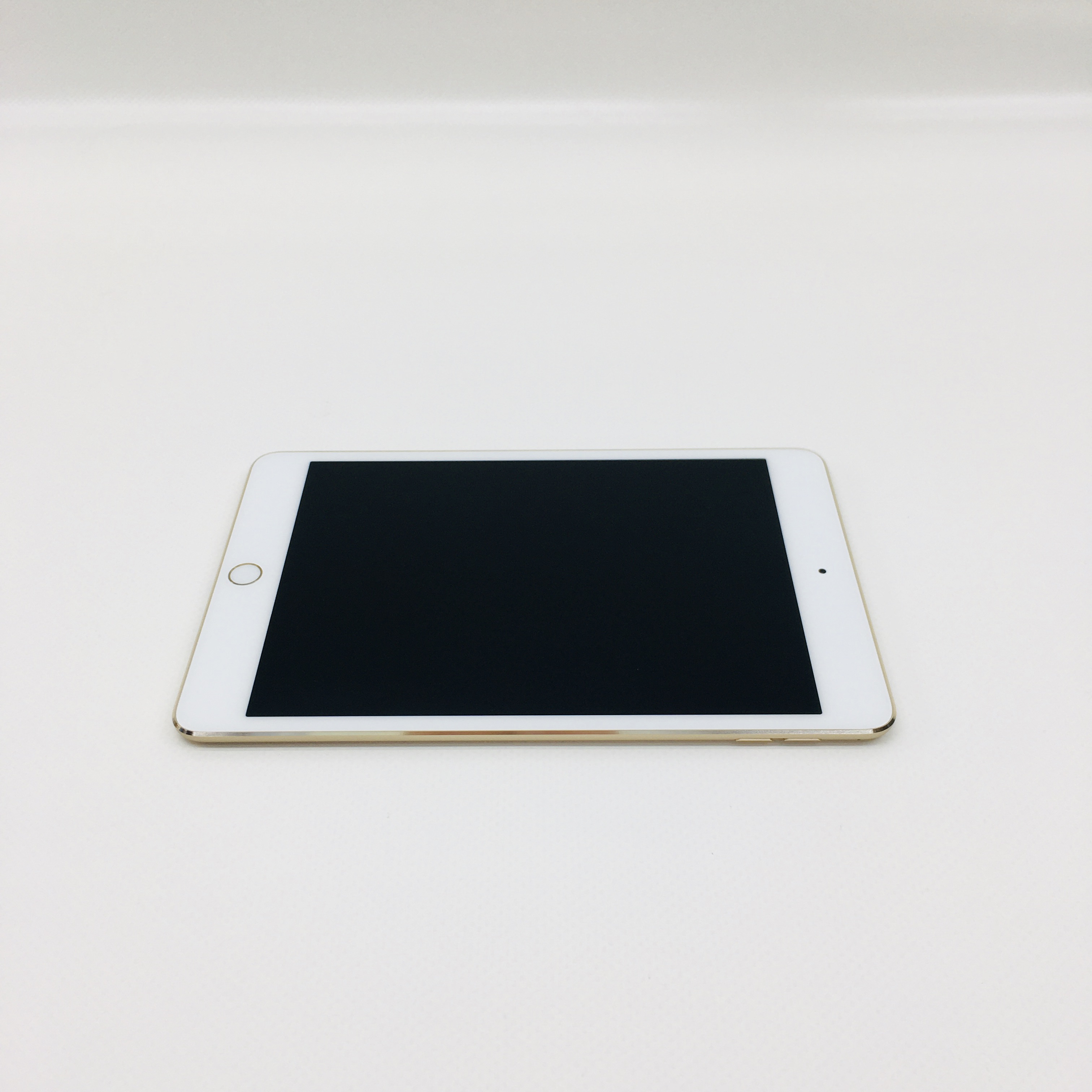 iPad mini 第4世代 16GB ipadmini ipadmini4+centrotecnicodirecthair